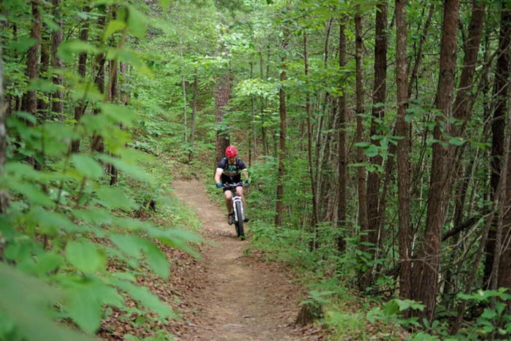 Holiday home Art's Bungalow-wooded Seclusion 1 Mi To Deep Creek And Bryson Bryson City