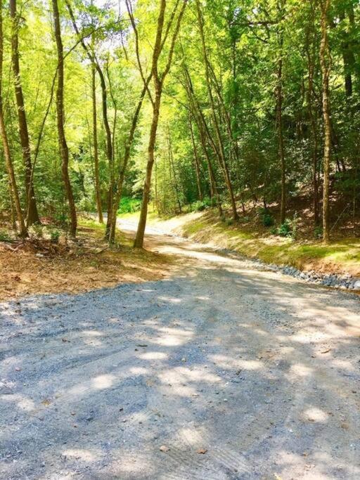 Art's Bungalow-wooded Seclusion 1 Mi To Deep Creek And Bryson * Bryson City